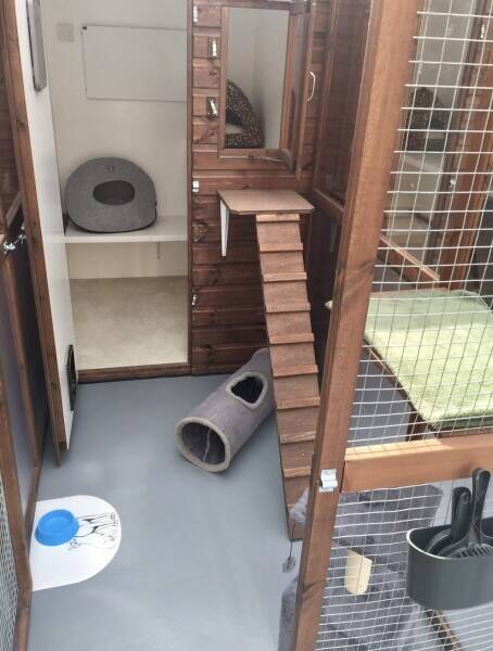 Established Cat Hotel and owners residence Photo 11