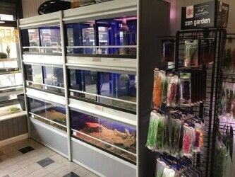 Well established aquatic pet shop for sale Photo 11