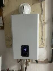 Fish and chips shop Photo 11