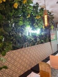Southern Italian Restaurant Photo 11