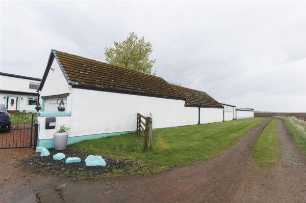 Closed Licensed Boarding Kennels - Carnwath, Lanark, Scotland Photo 11