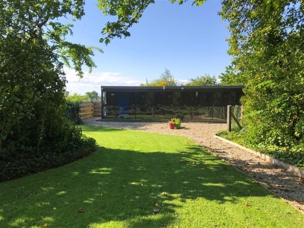 Copperfield Cattery Photo 11