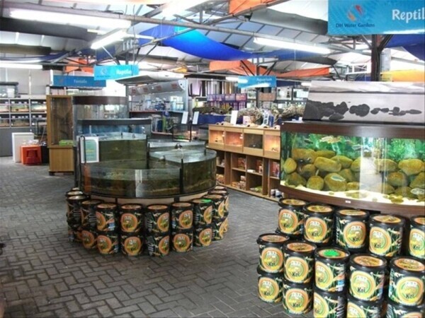 Garden Centre - Sherfield-on-Lodden Photo 12