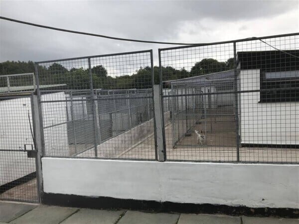 FREEHOLD BOARDING KENNELS & CATTERY WITH CHARMING PRIVATE RESIDENCE FOR SALE IN RAINFORD VILLAGE Photo 12
