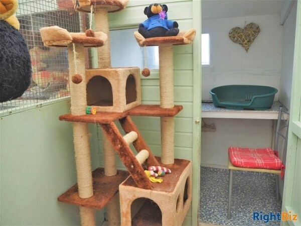 Kennels, Cattery & Equestrian businesses For Sale in Bradford Photo 12