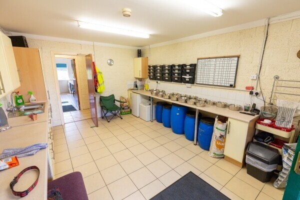 UNDER OFFER - Profitable Boarding Kennels with Superb Family Home in 2.5 acres, Central Scotland Photo 12