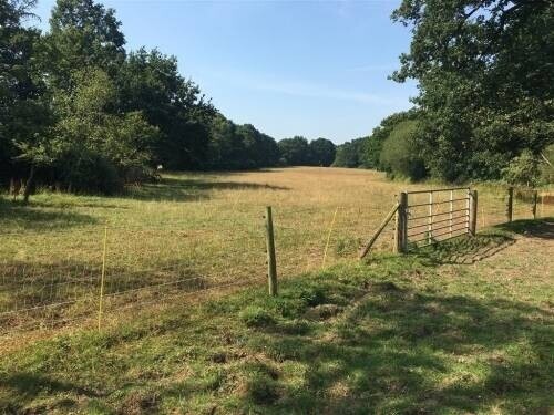 Approx. 48 Acres, Kennels And Cattery for sale in Dorset Photo 12