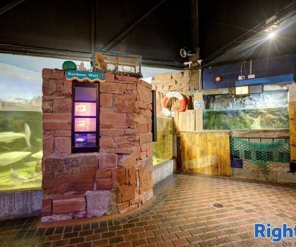 AQUARIUM AND CAFE - CUMBRIA Photo 12