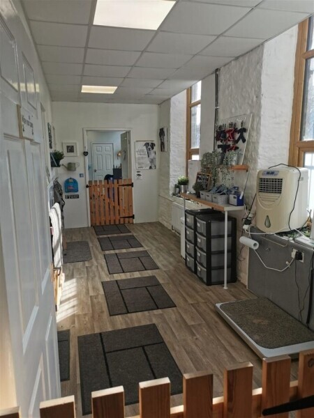 Leading Canine Hydrotherapy Centre based in Huddersfield Photo 12