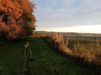 Delightful 5 Star Rated Licensed Boarding Kennels & Cattery - South Yorkshire Photo 12