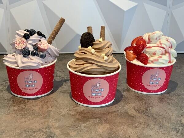 Famous Frozen Yogurt Parlour Photo 12