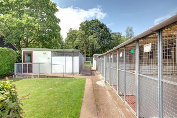 Kennels & Cattery - Worcestershire Photo 12