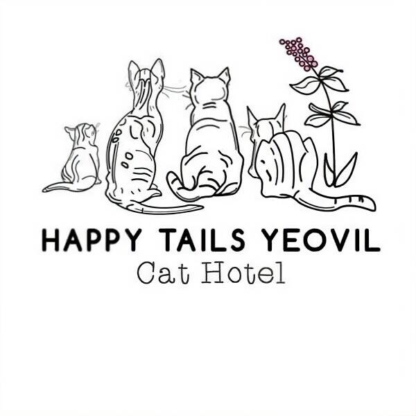 Established Cat Hotel and owners residence Photo 12
