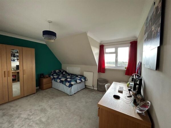 Luxury Boarding Kennels - Pembrokeshire Photo 12