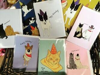 Beautiful pet store for sale Photo 7