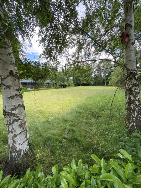 Luxury Cattery  with an impressive detached house plus 2 bed letting cottage (licensed for 44 cats) Photo 12