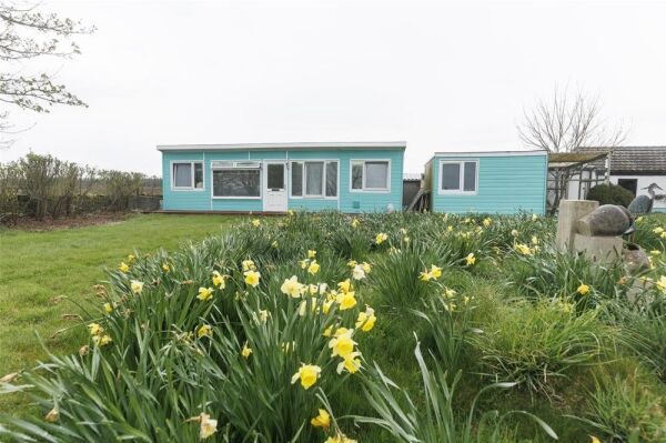 Closed Licensed Boarding Kennels - Carnwath, Lanark, Scotland Photo 12