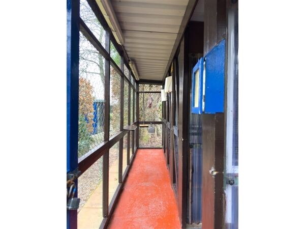 Copperfield Cattery Photo 12