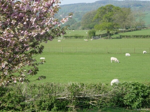 Business for Sale - The Whoop Hall Inn, Kirkby Lonsdale, LA6 2GY Photo 13