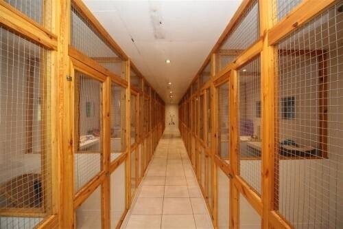 Boarding Kennels for sale in Glasgow Photo 13