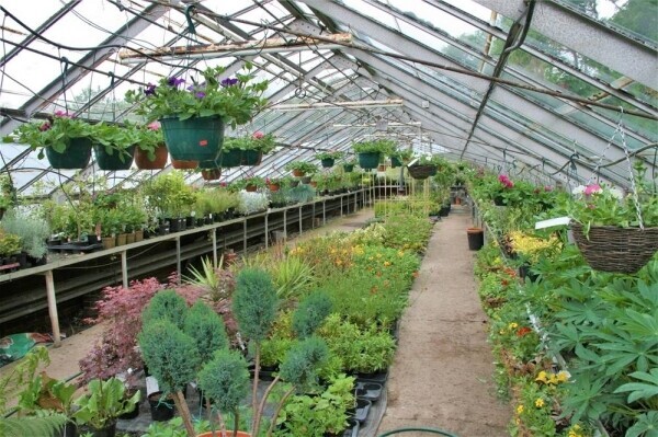 Garden Centre & Horticulture For Sale in Liversedge Photo 13