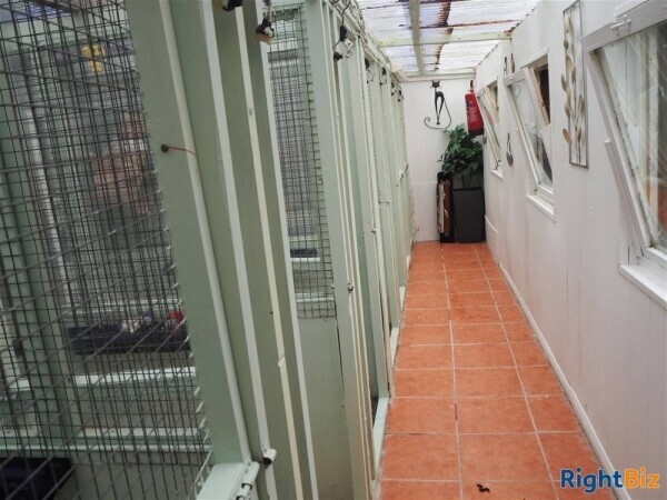 Kennels, Cattery & Equestrian businesses For Sale in Bradford Photo 13