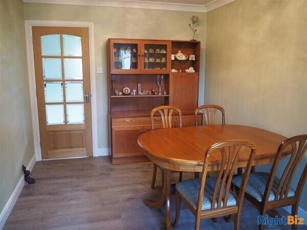 Kennels, Cattery & Equestrian businesses For Sale in Wantage Photo 13