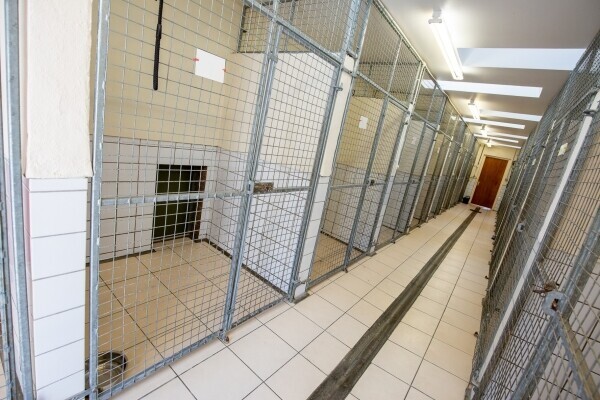 UNDER OFFER - Profitable Boarding Kennels with Superb Family Home in 2.5 acres, Central Scotland Photo 13