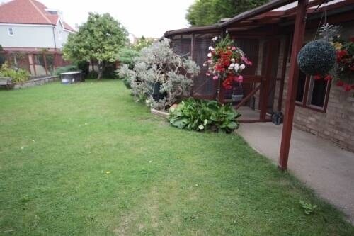 Former Cattery, 5 Bedroom House & Flat- Eastbourne Photo 13