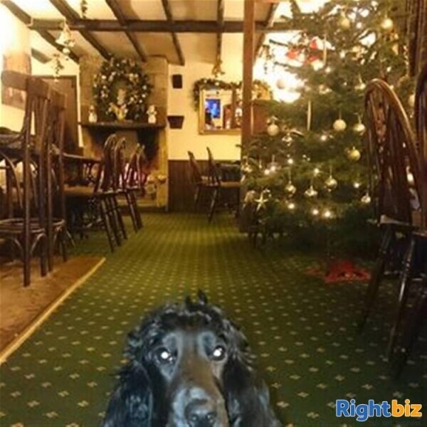 FREEHOLD COUNTRY INN/RESTAURANT & FUNCTION VENUE IN STAFFORDSHIRE Photo 13