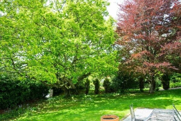 A beautiful, fully restored Georgian hotel for sale in the West Country. Photo 13