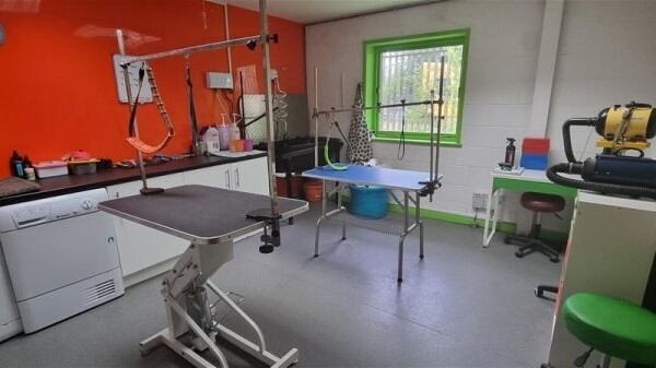 Highly Rated Doggy Day Care & Grooming Centre on the Outskirts of York Photo 13