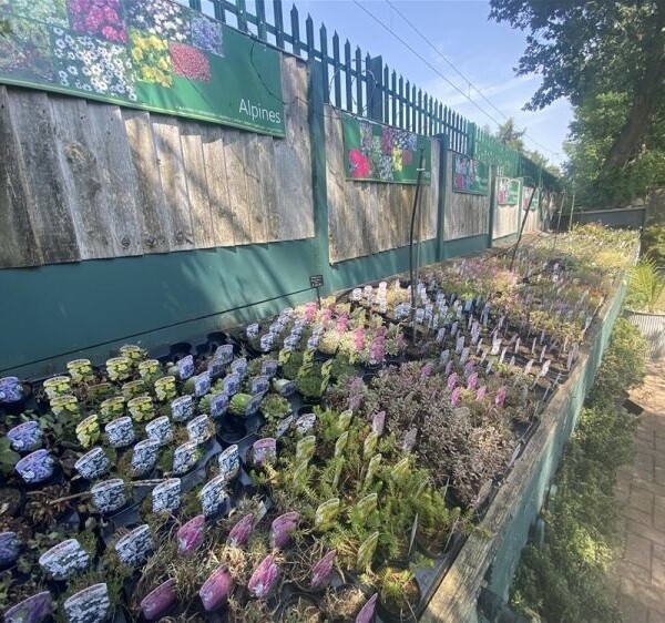 Garden Centre & Horticulture For Sale in Crewe Photo 13