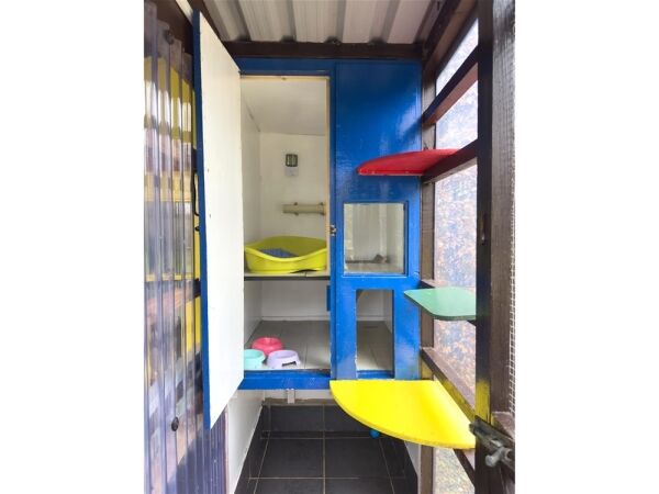Copperfield Cattery Photo 13