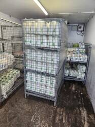 Milk and sundries doorstep delivery 