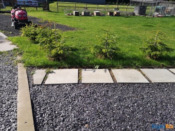 Cattery (Largest on Anglesey), stables, 4 Bed home, Static caravan and paddocks. Anglesey, N Wales. Photo 13