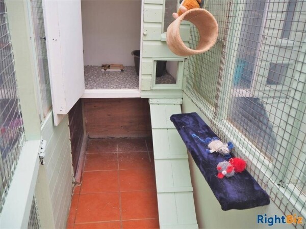 Kennels, Cattery & Equestrian businesses For Sale in Bradford Photo 14