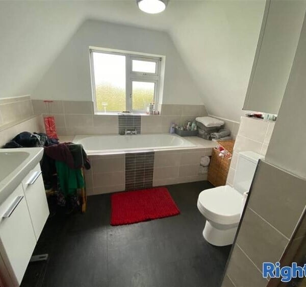 Kennels, Cattery & Equestrian businesses For Sale in Chesterfield Photo 14