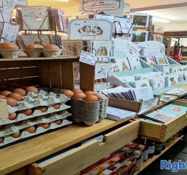 Well Established Convenience Store For Sale Photo 14