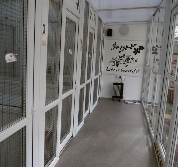 Business for Sale in Nottingham Nottinghamshire in Nottingham Photo 14