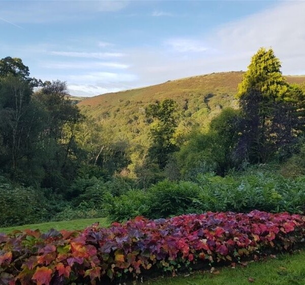 Under Offer: Distinctive 11 Bedroom Hotel in a Unique North Devon Setting For Sale in Barnstaple Photo 14