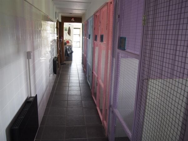 Kennels, Cattery & Equestrian businesses For Sale in Ferryhill Photo 14