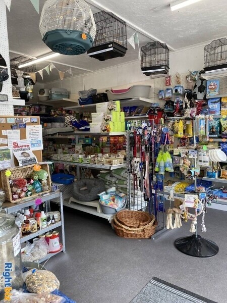 Highly successful Pet And Hardware shop Photo 14