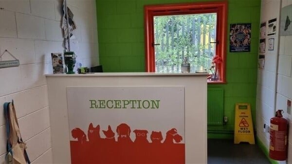 Highly Rated Doggy Day Care & Grooming Centre on the Outskirts of York Photo 14