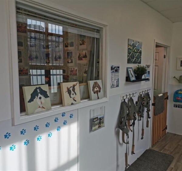 Leading Canine Hydrotherapy Centre based in Huddersfield Photo 14