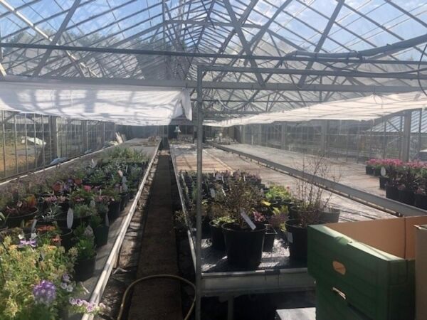 Leasehold Café/Restaurant & Garden Centre Located In St Tudy Photo 14