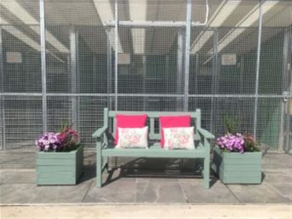 ANIMAL BOARDING AND PET GROOMING SALON Photo 14