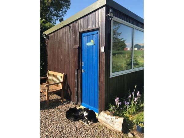 Copperfield Cattery Photo 14