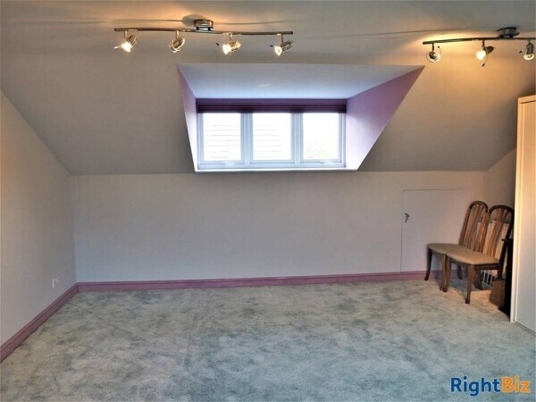 Kennels, Cattery & Equestrian businesses For Sale in Wantage Photo 15