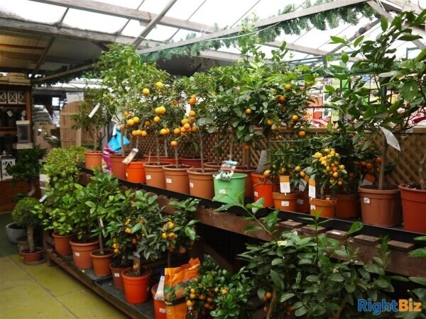 Garden Centre & Horticulture For Sale in Leeds Photo 15